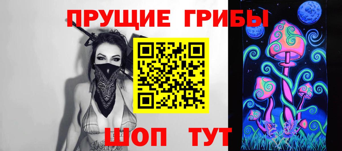 Баксан  Псилоцибиновые грибы прущие грибы  Вход с VPN 