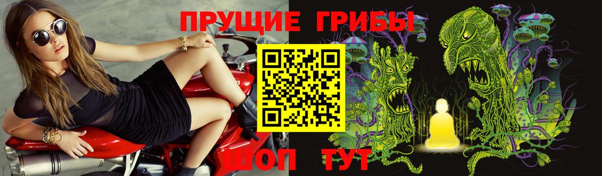 Галлюциногенные грибы Psilocybine cubensis Баксан